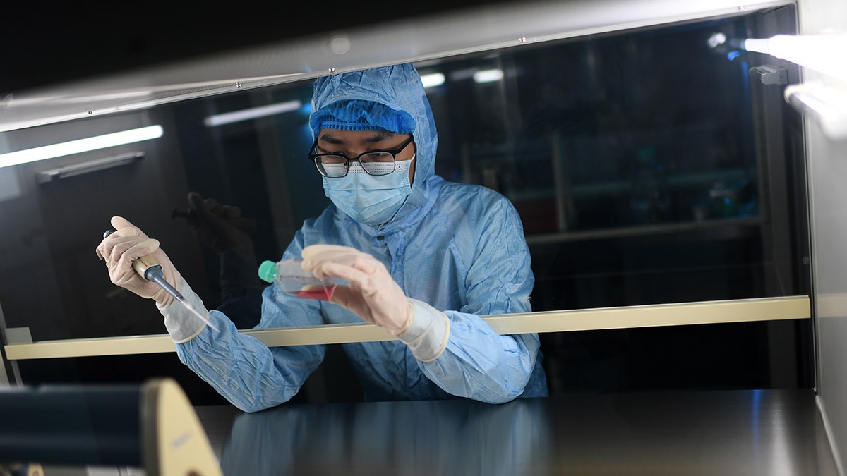 US shared intel with UK showing ‘high likelihood’ of COVID-19 lab leak: report