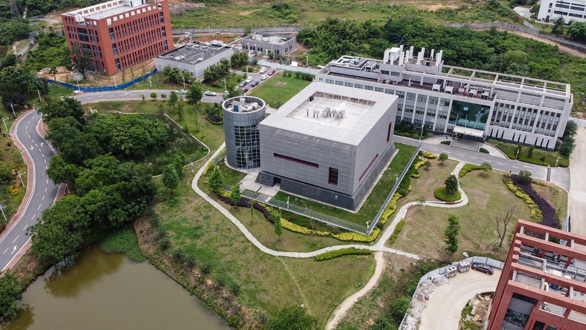 US shared intel with UK showing ‘high likelihood’ of COVID-19 lab leak: report