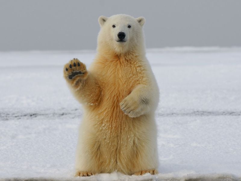 The Crypto Analyst Who Predicted Bitcoin’s (BTC) Rally to $70K Has Turned Bearish